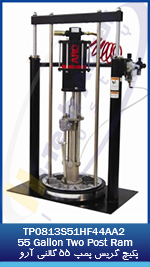 14 TP0813S51HF44AA2 55 Gallon Two Post Ram